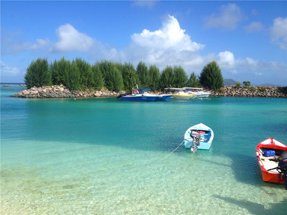 什么企业需要做年度财务审计？